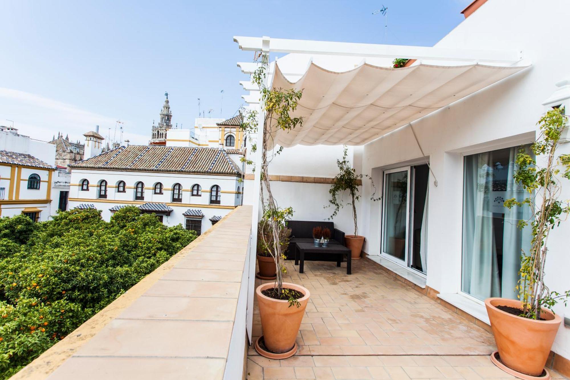 Junior Suite Terrace