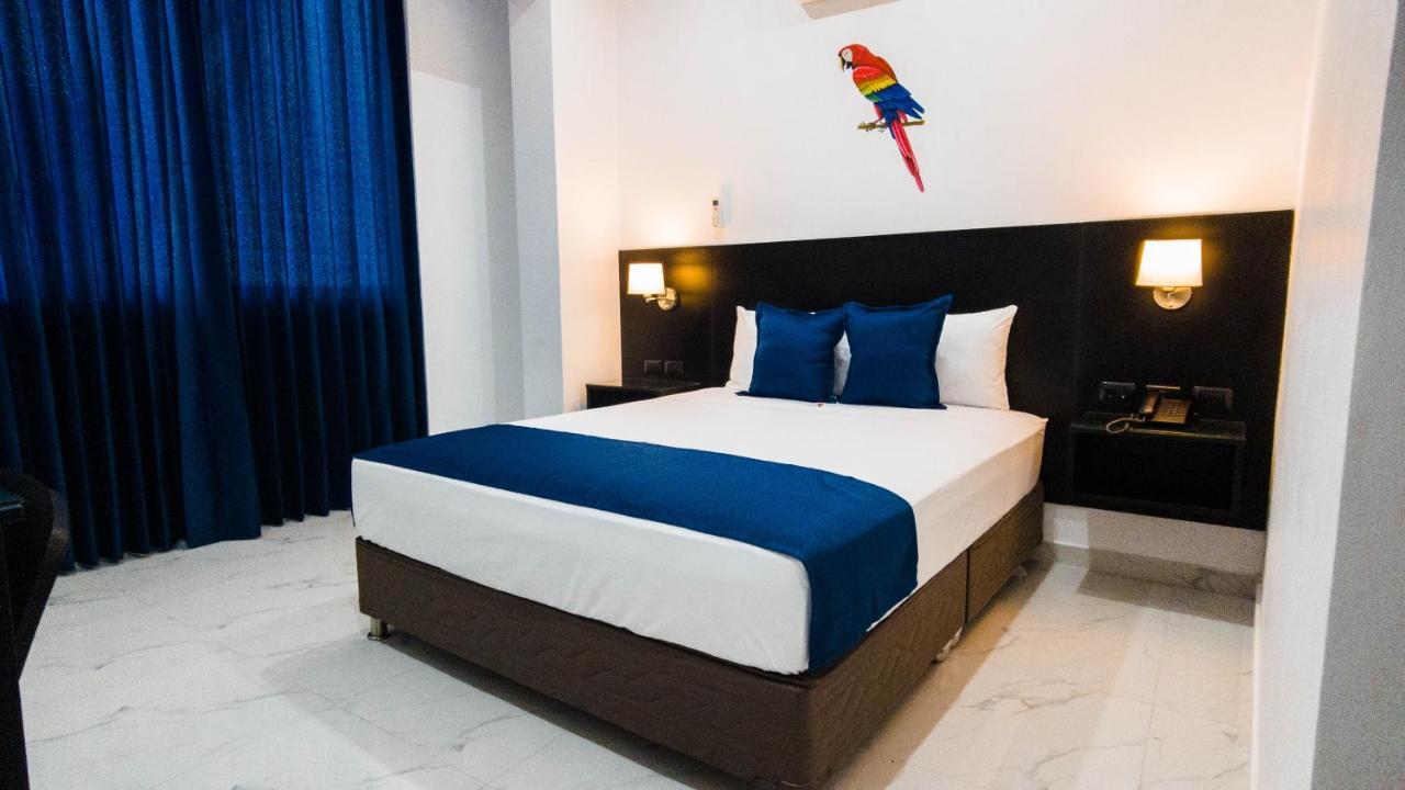 Suite Estándar