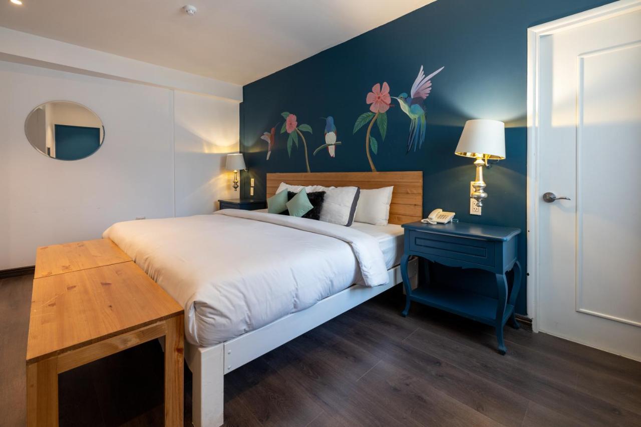 Standard Double Room,757778065:JPEG