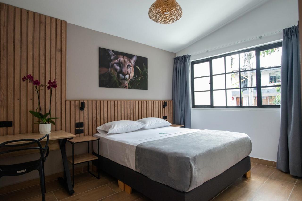 Suite con cama grande