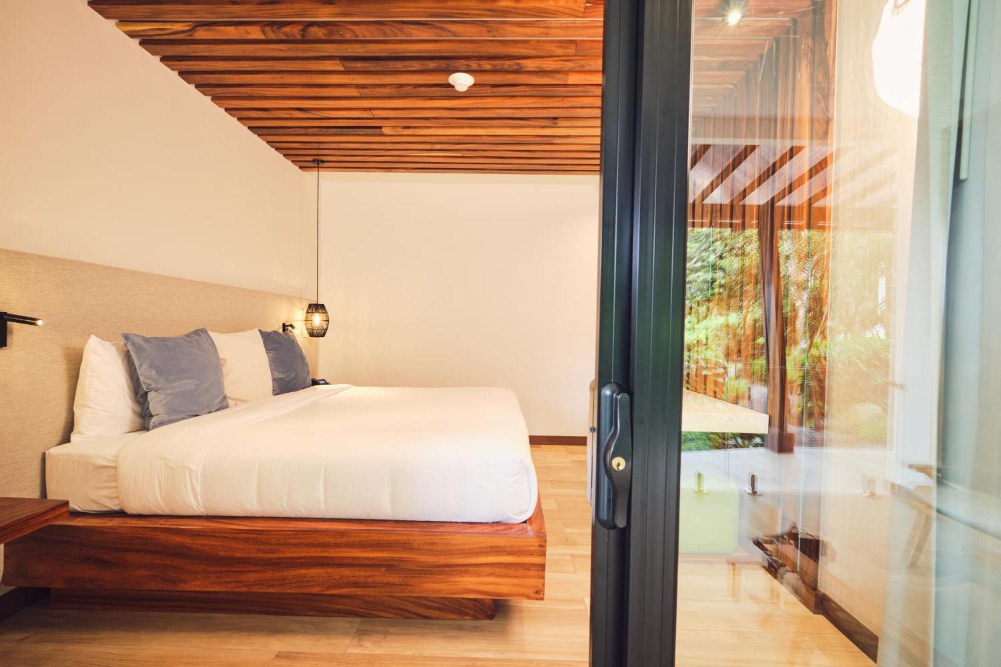 1 King Room with Terrace / Sotobosque,1523349595:JPEG