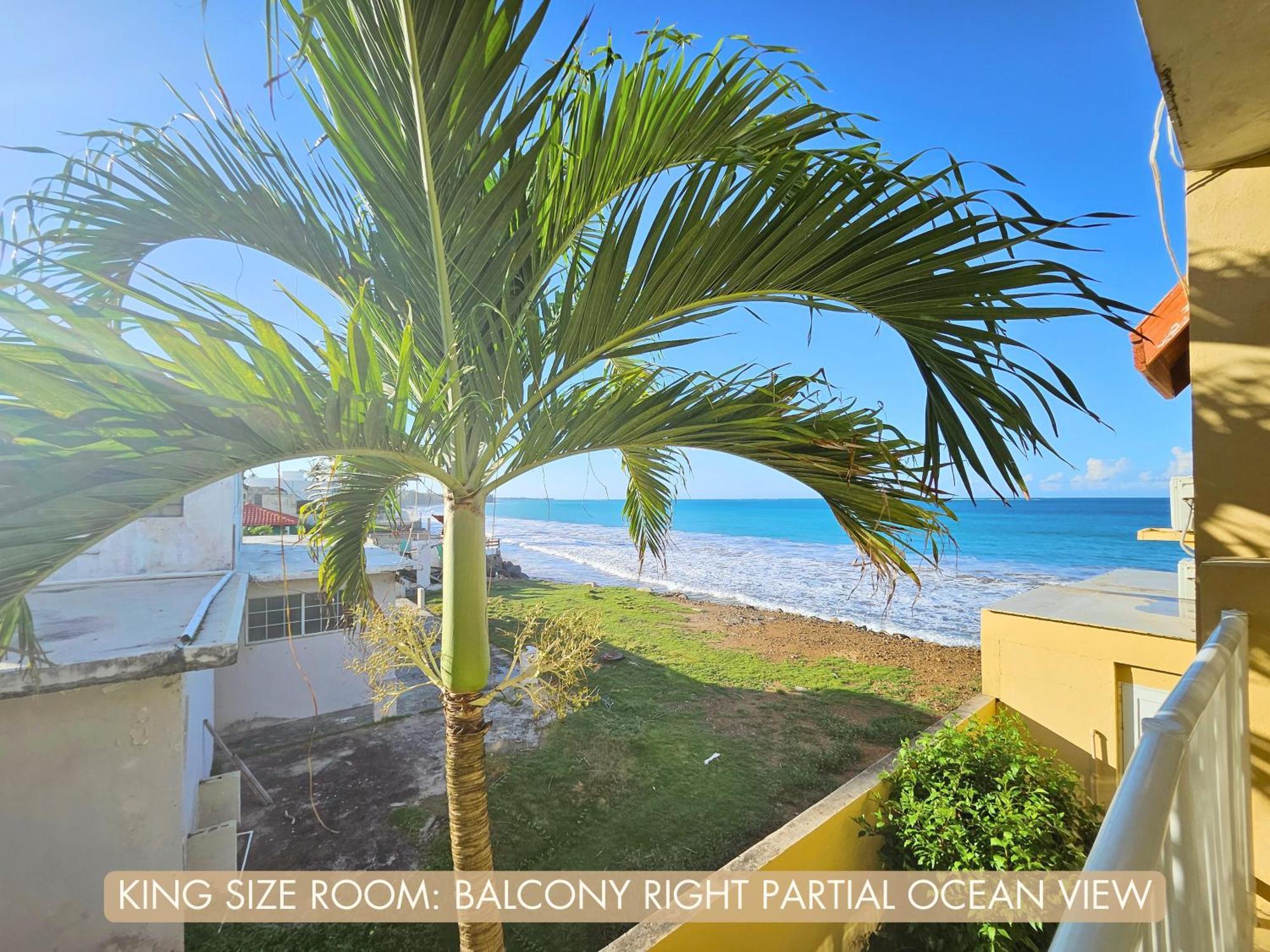 King Room with Sea View
