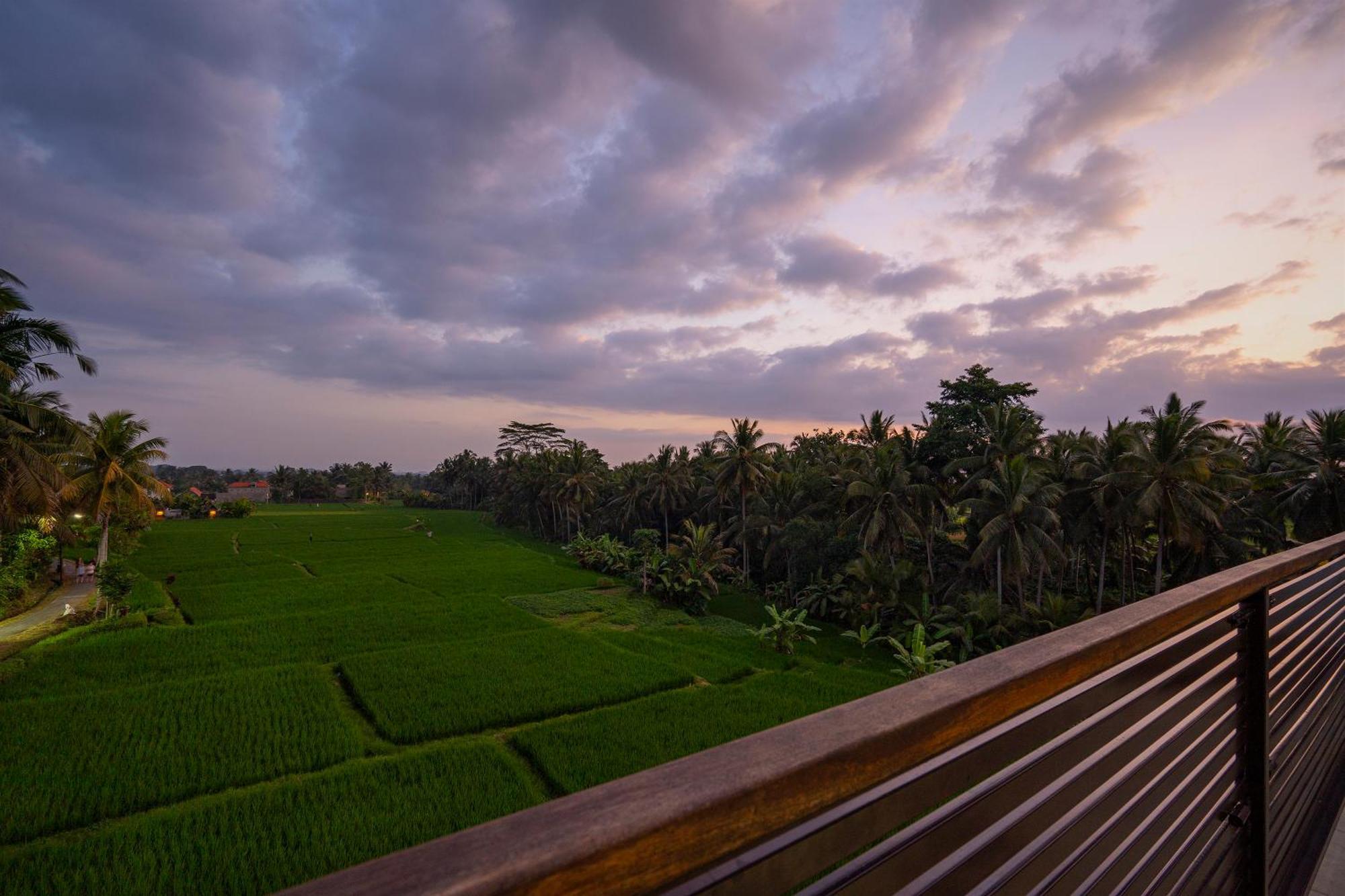 Sky Loft Suite