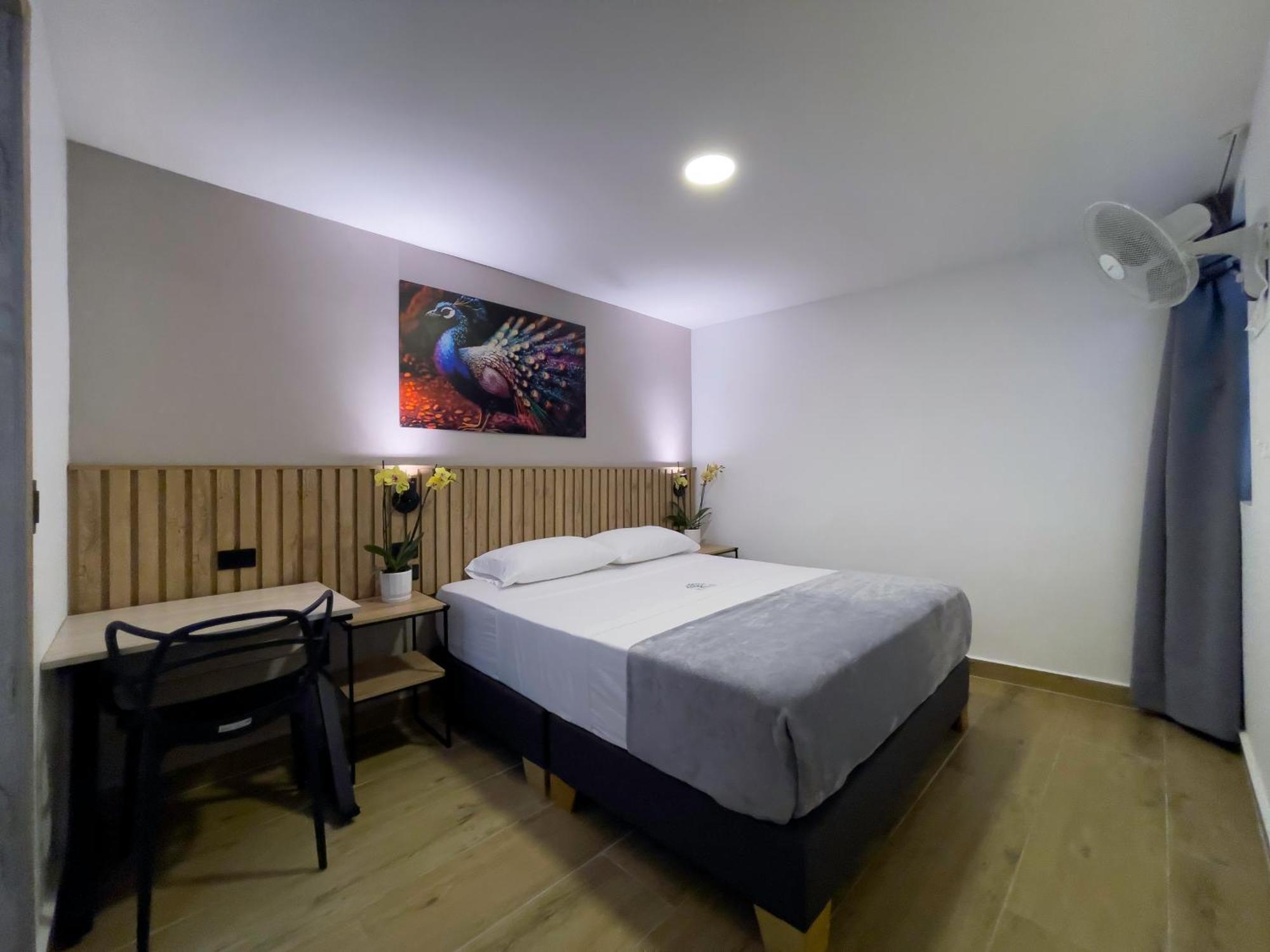Habitación Deluxe - 1 cama grande