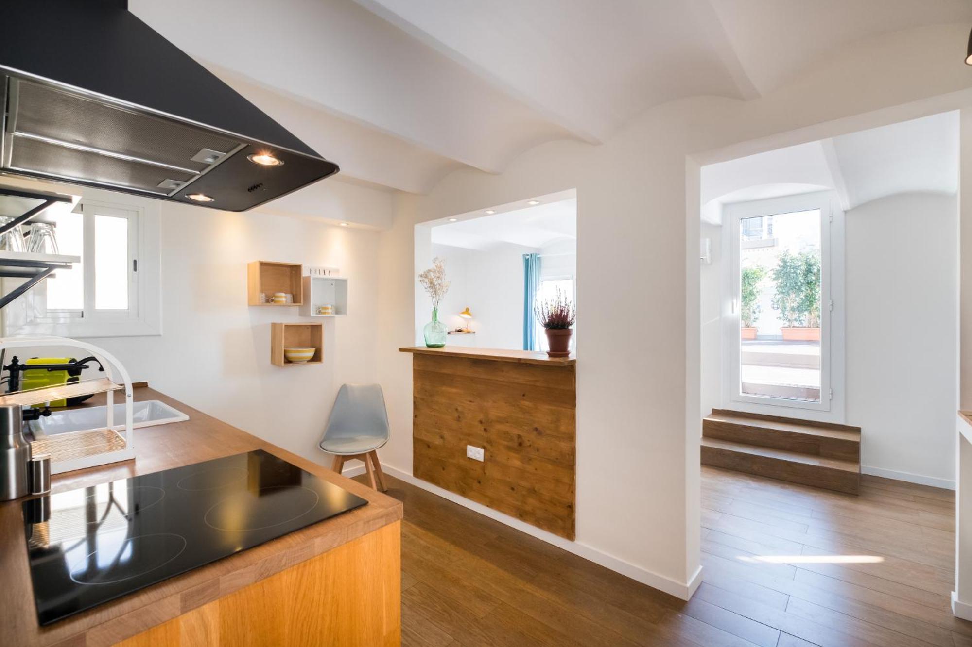 Penthouse Apartment Terrace