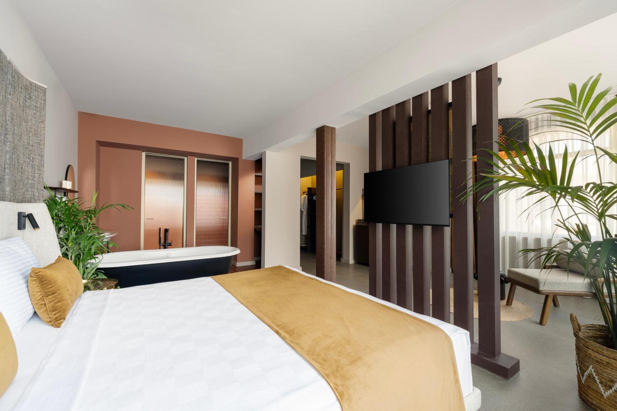 Superior Suite
