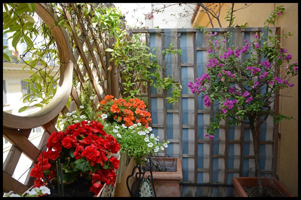 Superior Double Room,176000874:JPEG