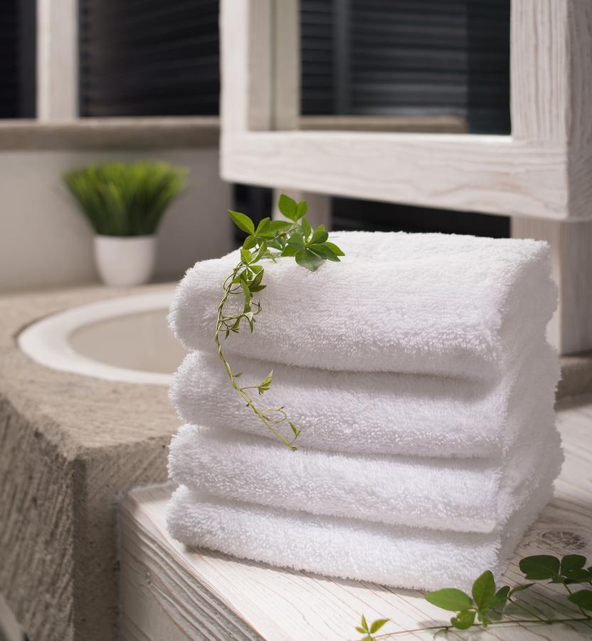 Suite Junior con terraza