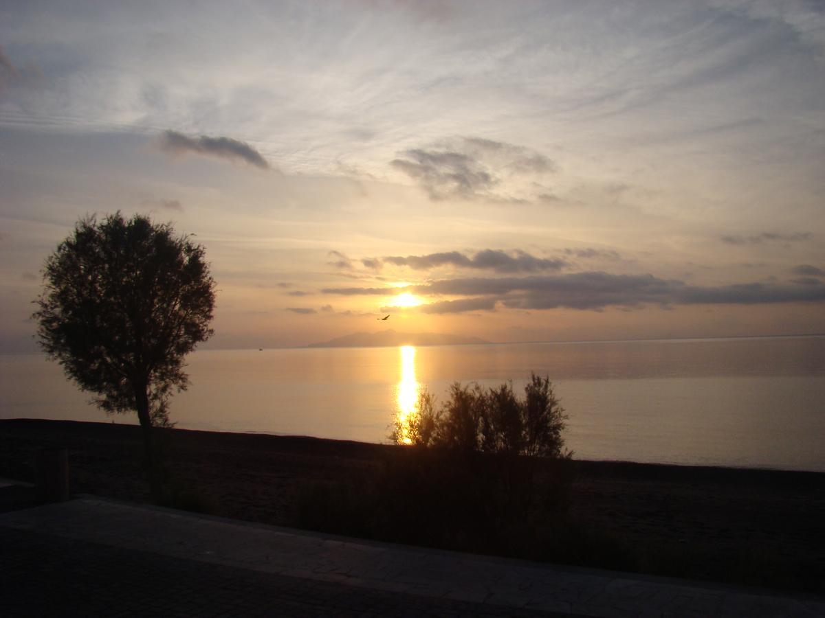 Villa - Beach Front,517812213:JPEG