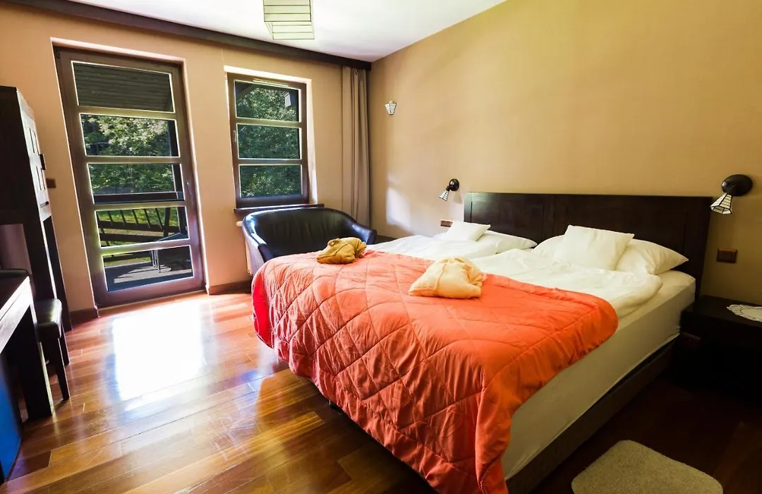 Boutique Hotel Sudetia - Medical & Spa-1