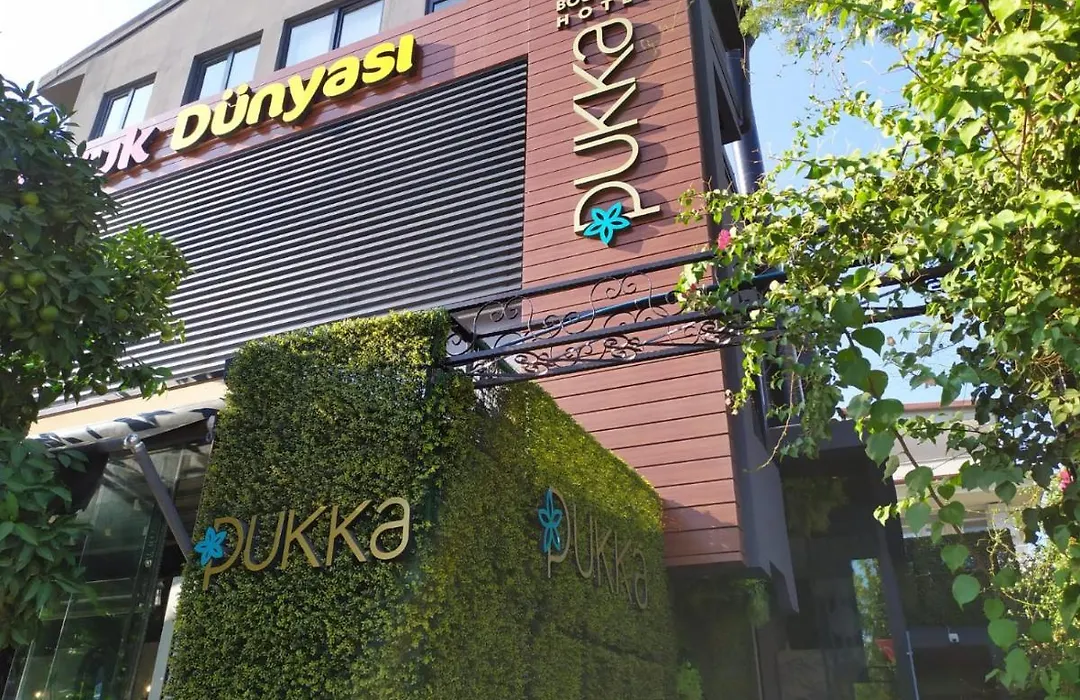 Pukka Hotel-1