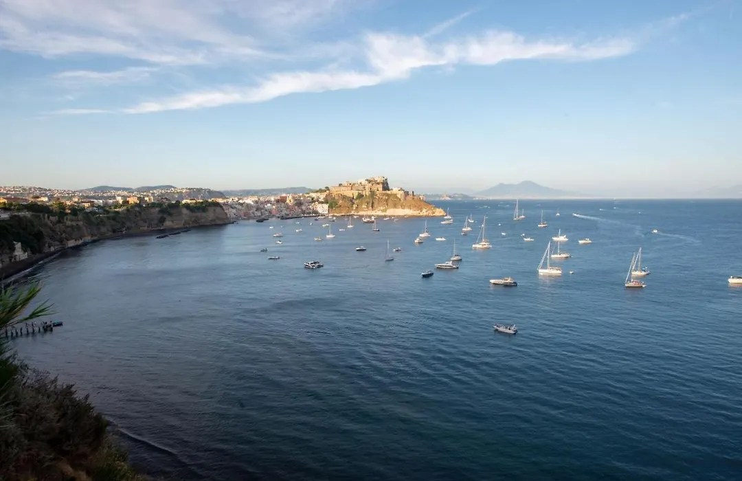 Insula Boutique Hotel-1