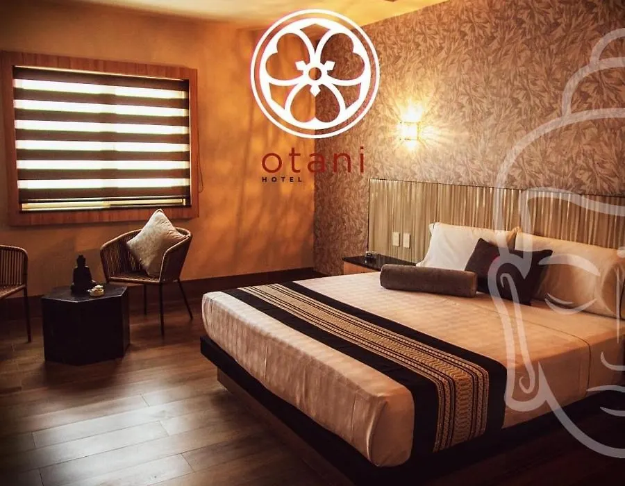 Otani Hotel Boutique-1