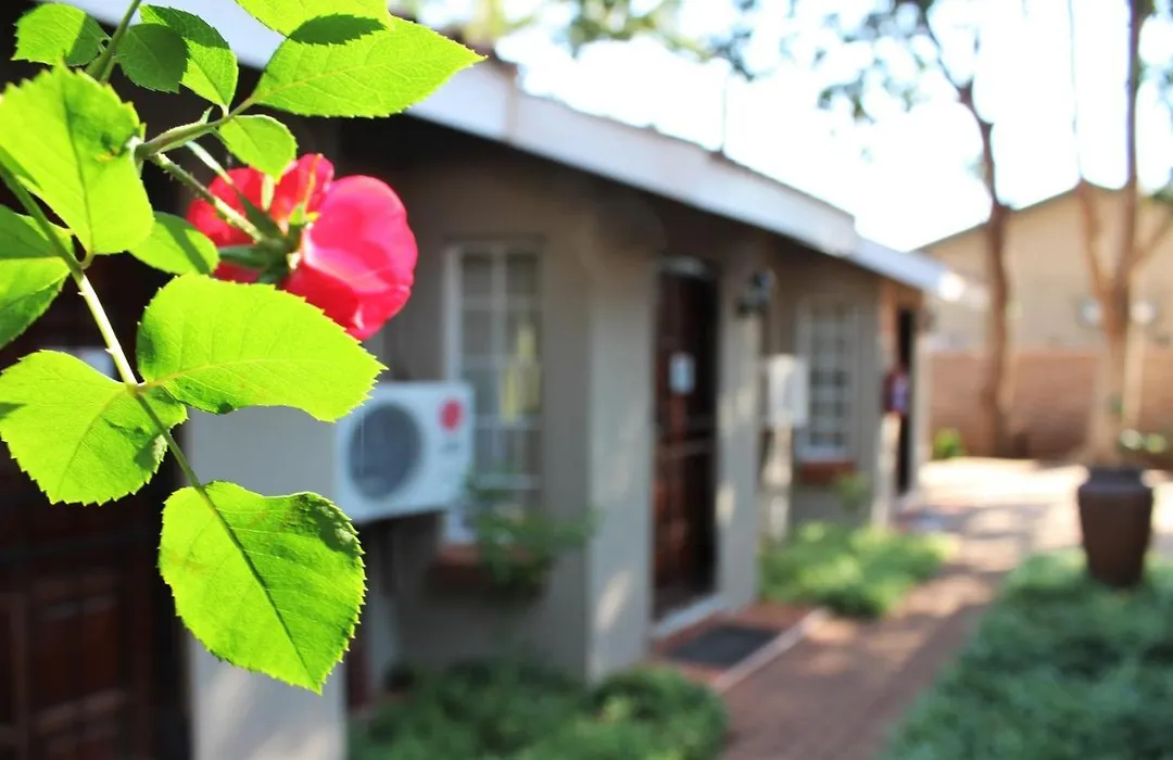 Ngwenya Boutique Hotel-1