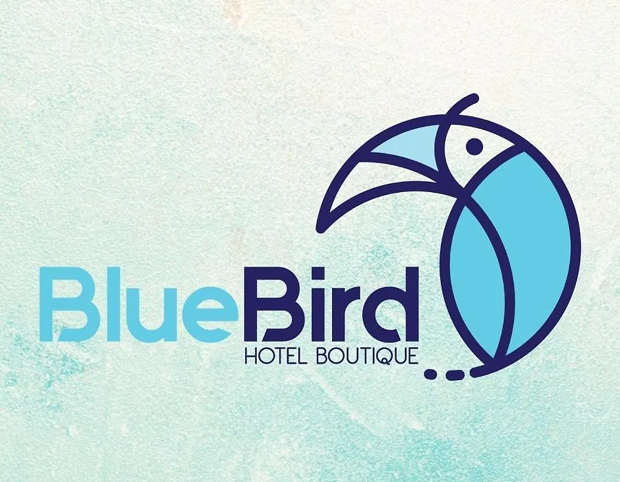 Blue Bird-1