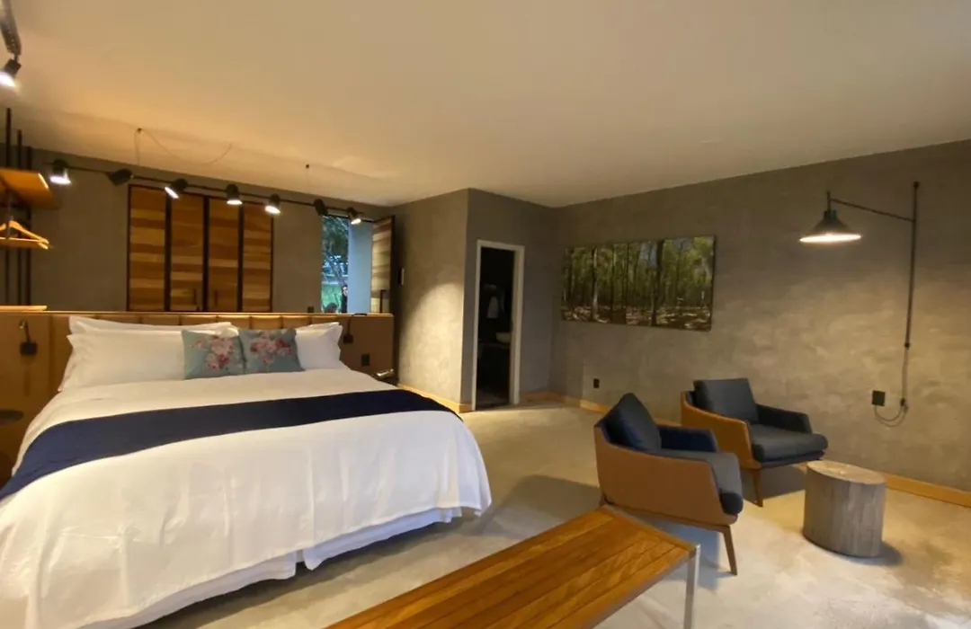 Fazenda Pedra Lisa Hotel Boutique-1