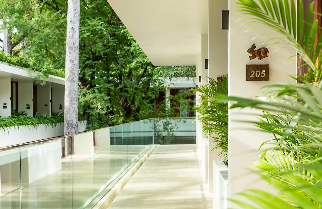 Fcc Angkor By Avani-1