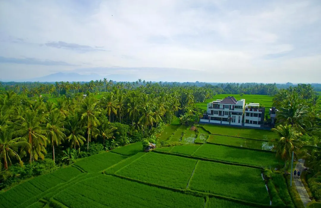 The Luxe Ubud - A Boutique Hotel-1