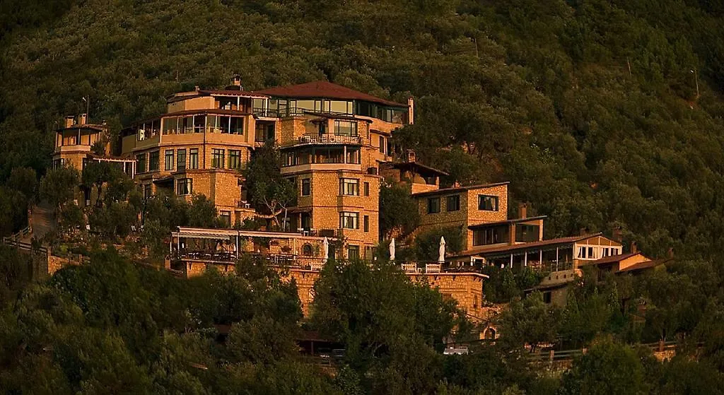 Pinecone Boutique Hotel-1