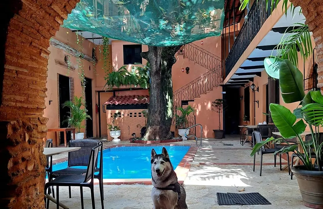 Mansion Colonial Boutique Hotel Pool Jacuzzi Bar Restaurant By Btc Group Crypto-1