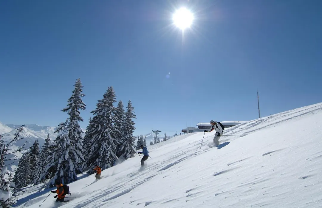 Hotel Alpenrose Mit Gourmet-Restaurant Azalee-1