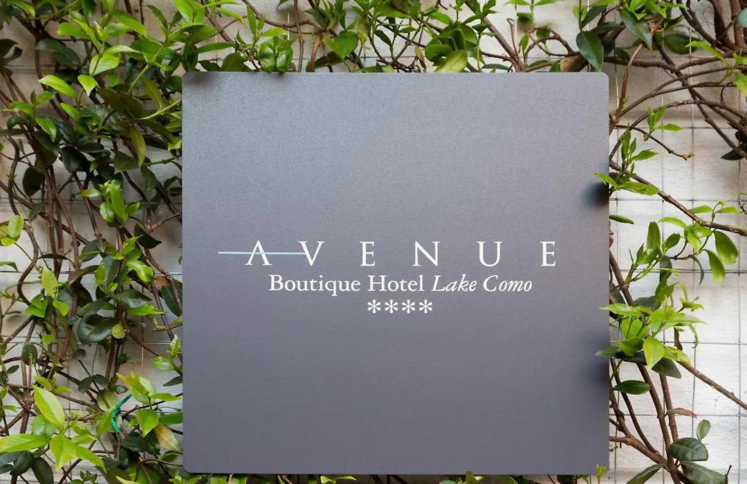 Avenue Boutique Hotel-1