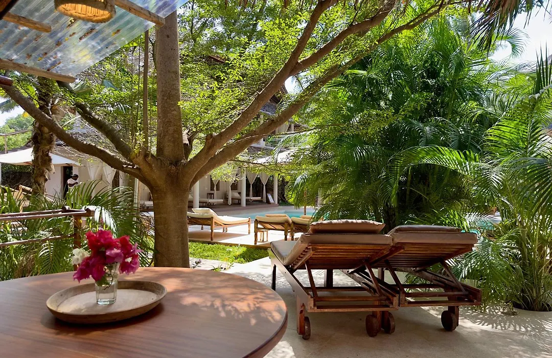 Palm Garden ECO Boutique Hotel No Kids under 12-1