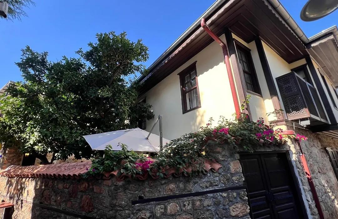 Villa Citronella Boutique Hotel-1