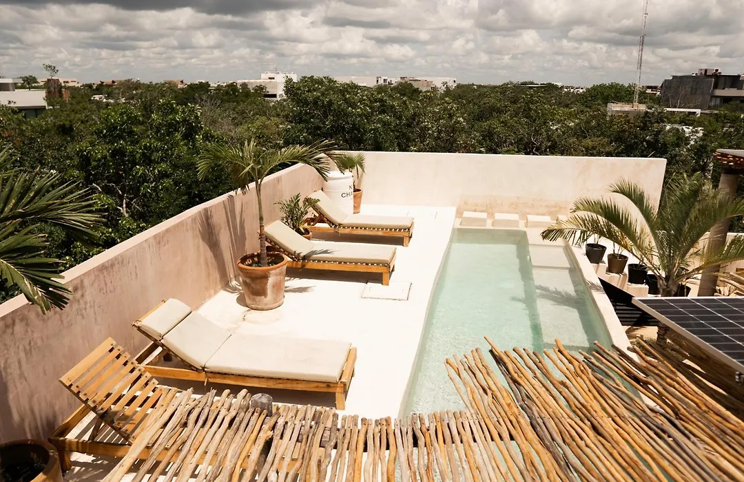 Koos Tulum Hotel-1