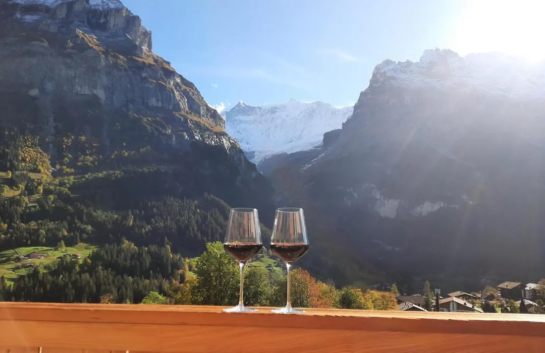 Boutique Hotel Panorama Grindelwald-1