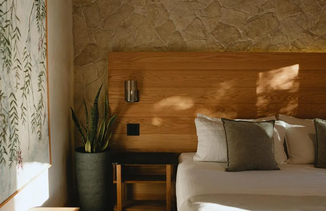 Casa Olivea-1