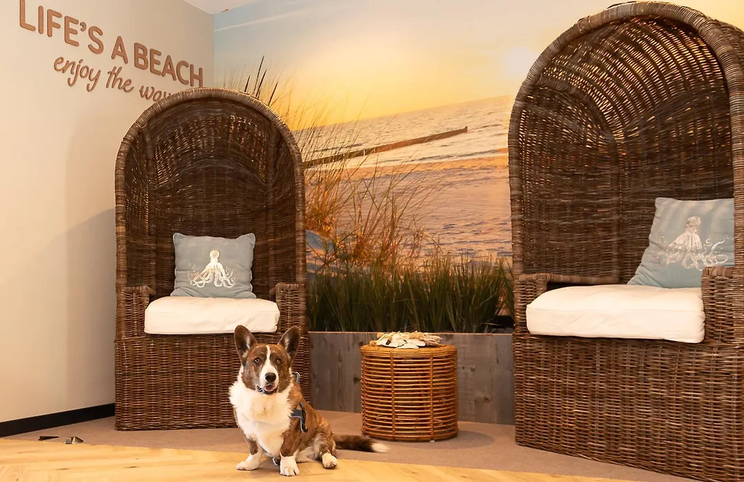 Beachfront Boutiquehotel-1