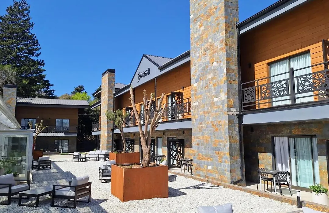 Blackstone Apart Boutique Hotel-1