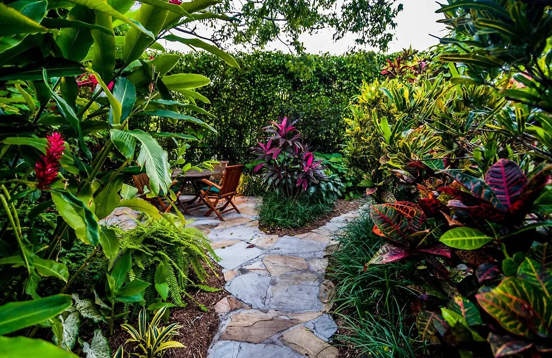Crane'S Beach House Boutique Hotel & Luxury Villas-1