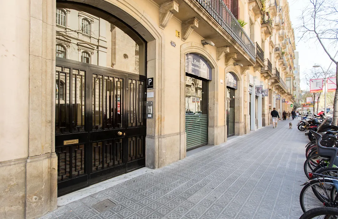 Violeta Boutique-1