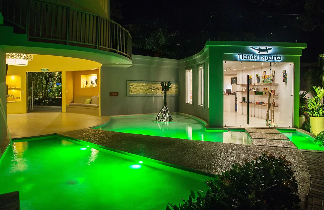 Hotel Boutique Lagarta Lodge-1