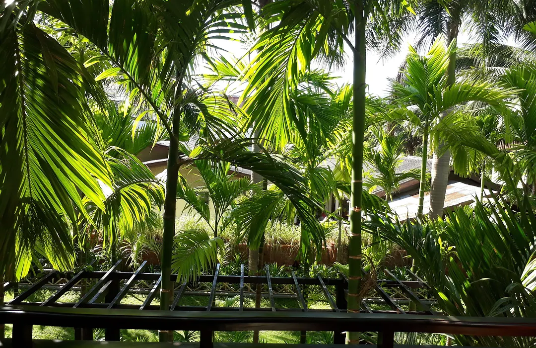 Sanakeo Boutique & Spa-1