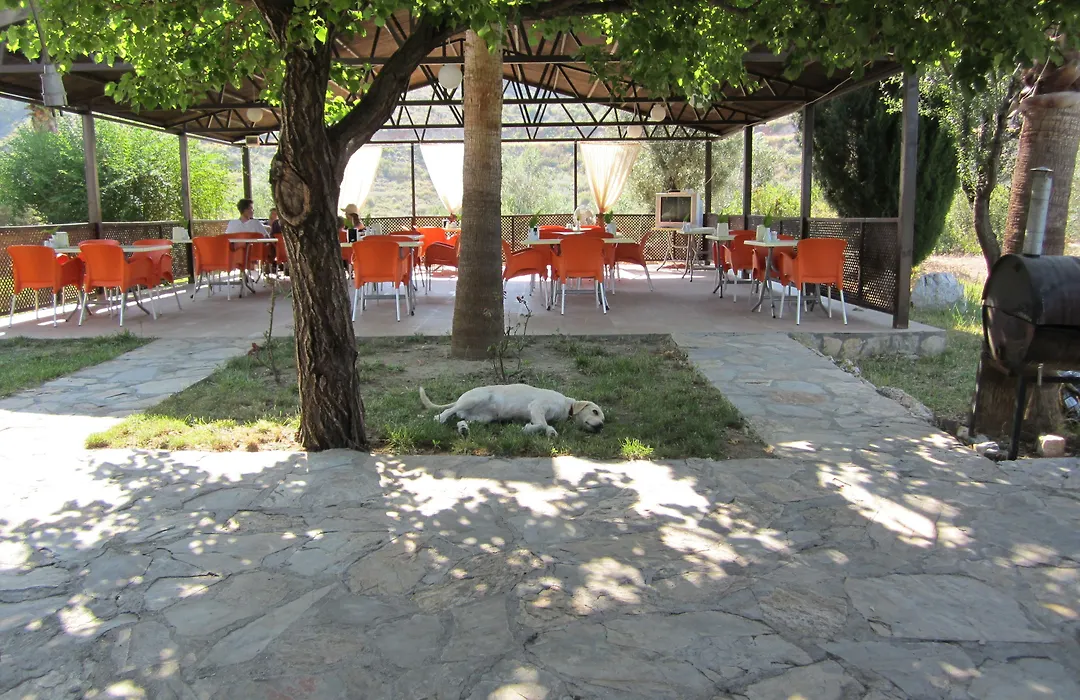 Xanthos Boutique Hotel Patara-1