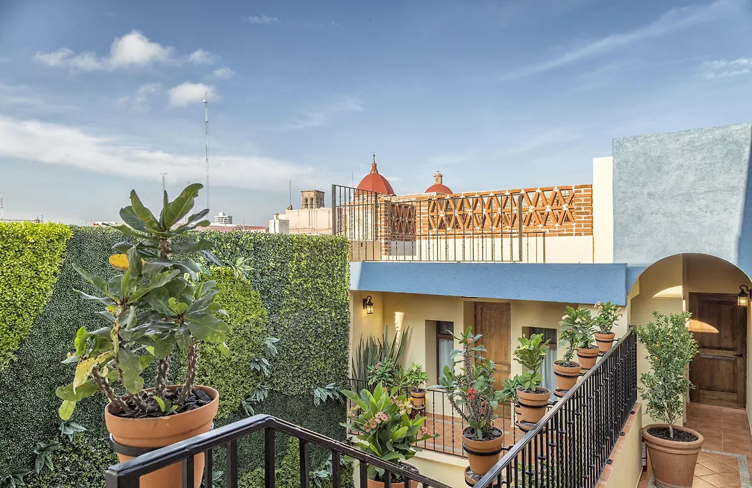 Morazul Hotel Boutique-1