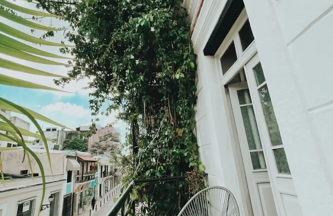 Mosquito Boutique Hotel Zona Colonial-1