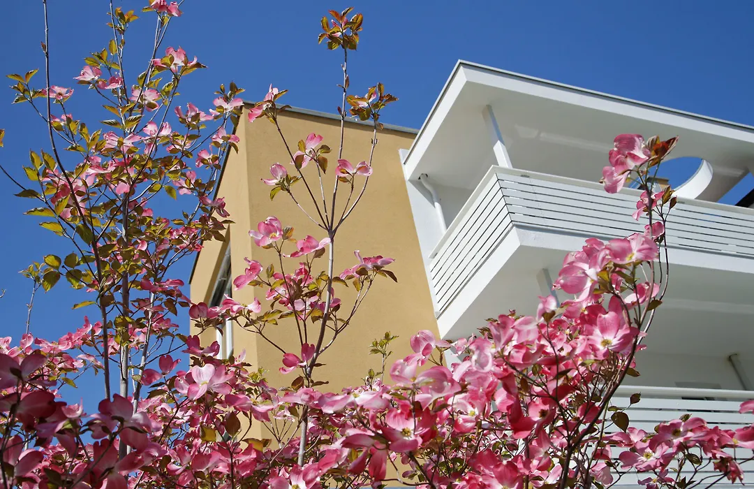 Hotel Jardis (Adults Only)-1