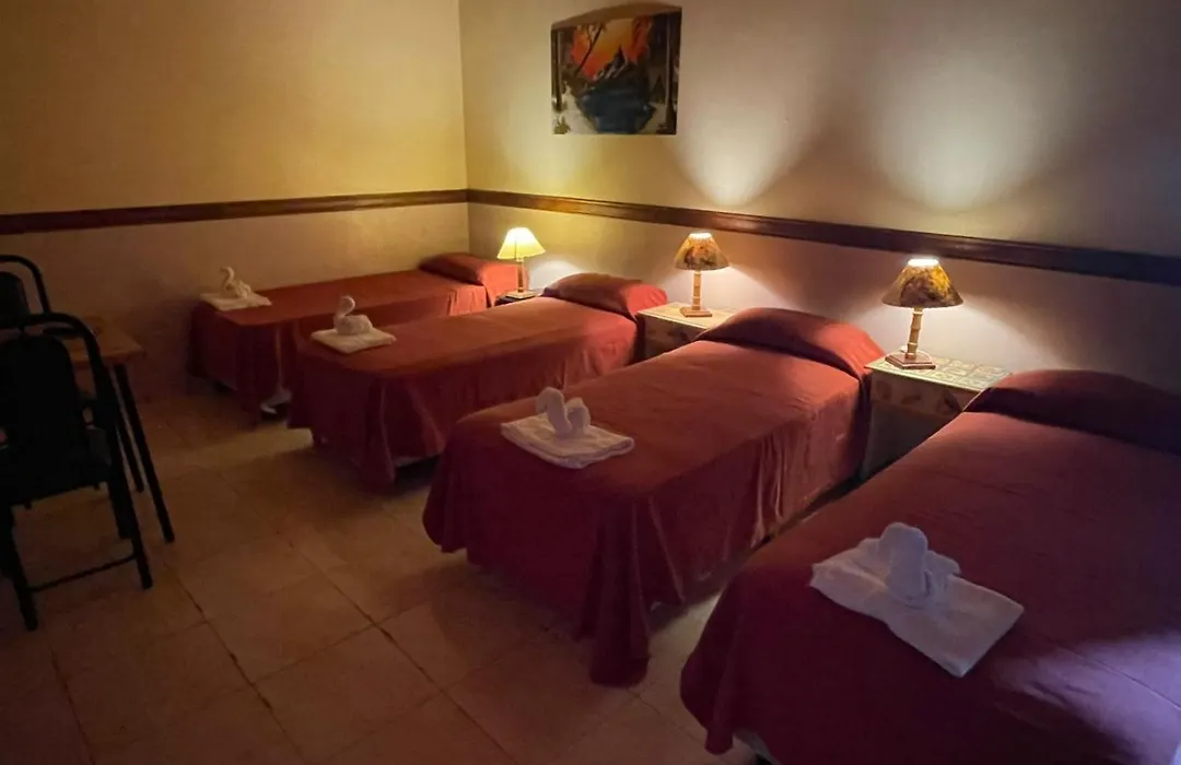 Gran Turín Hotel Boutique parque,arte y tecnología-1