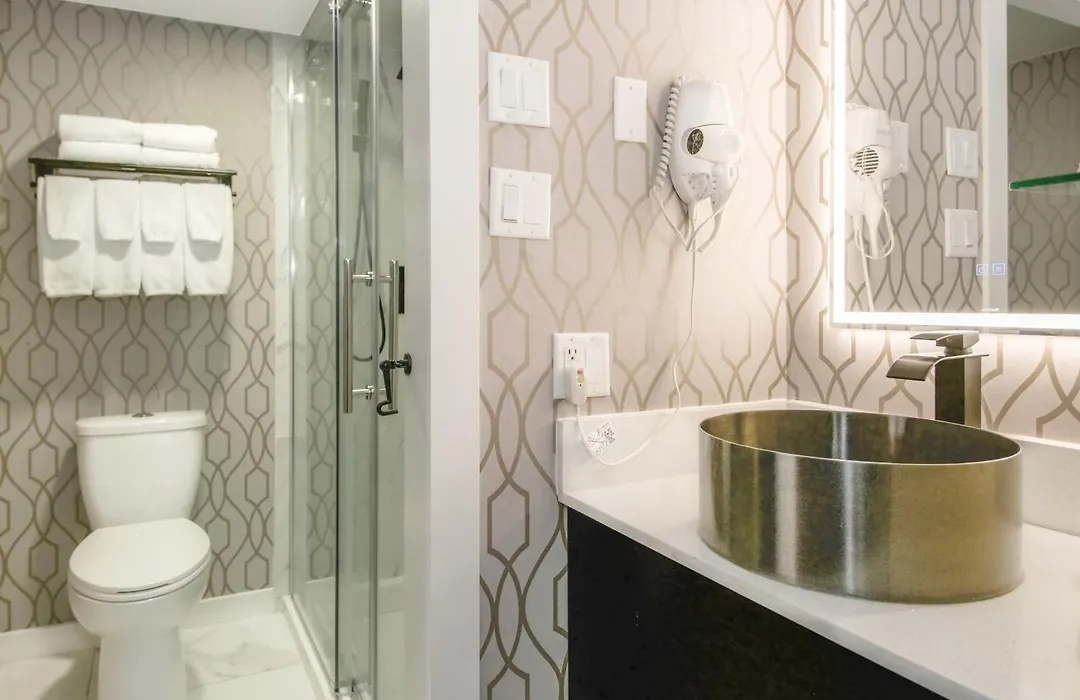 The Vic, An Ascend Collection Hotel-1