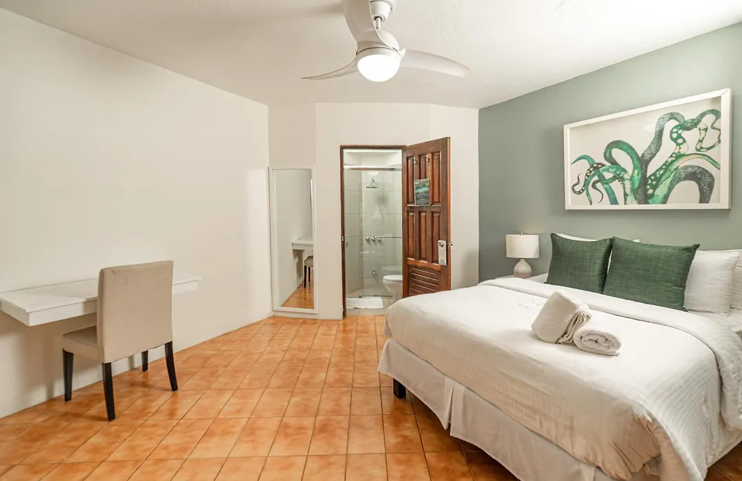 Boutique Surf Hotel Rip Jack Inn-1