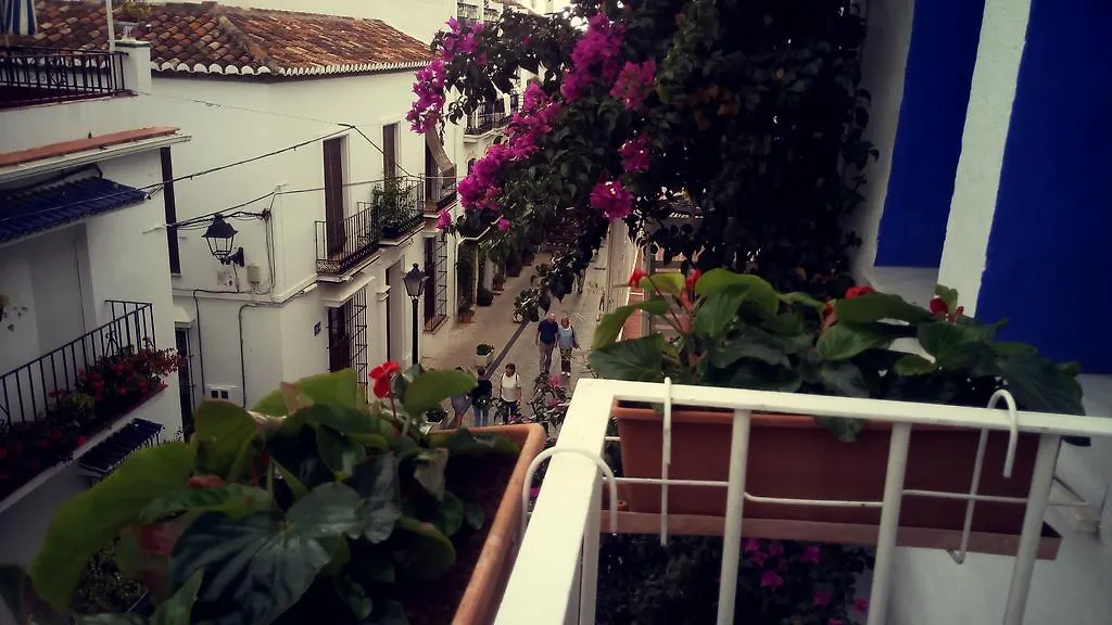 Linda Marbella-1