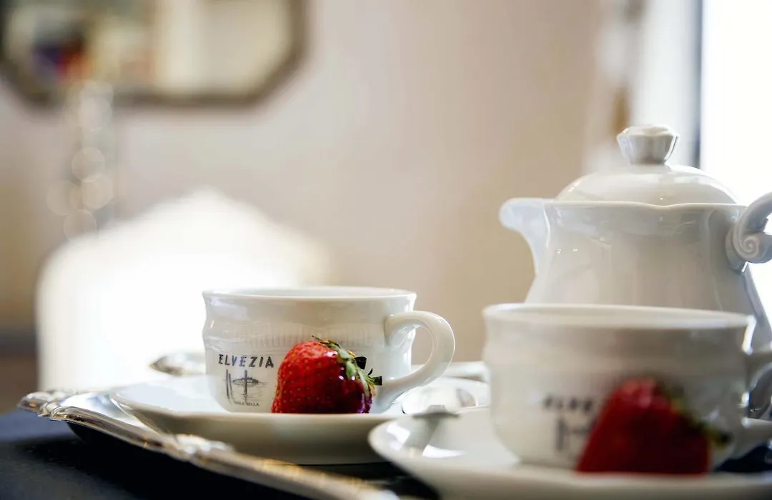 Boutique Hotel Elvezia-1