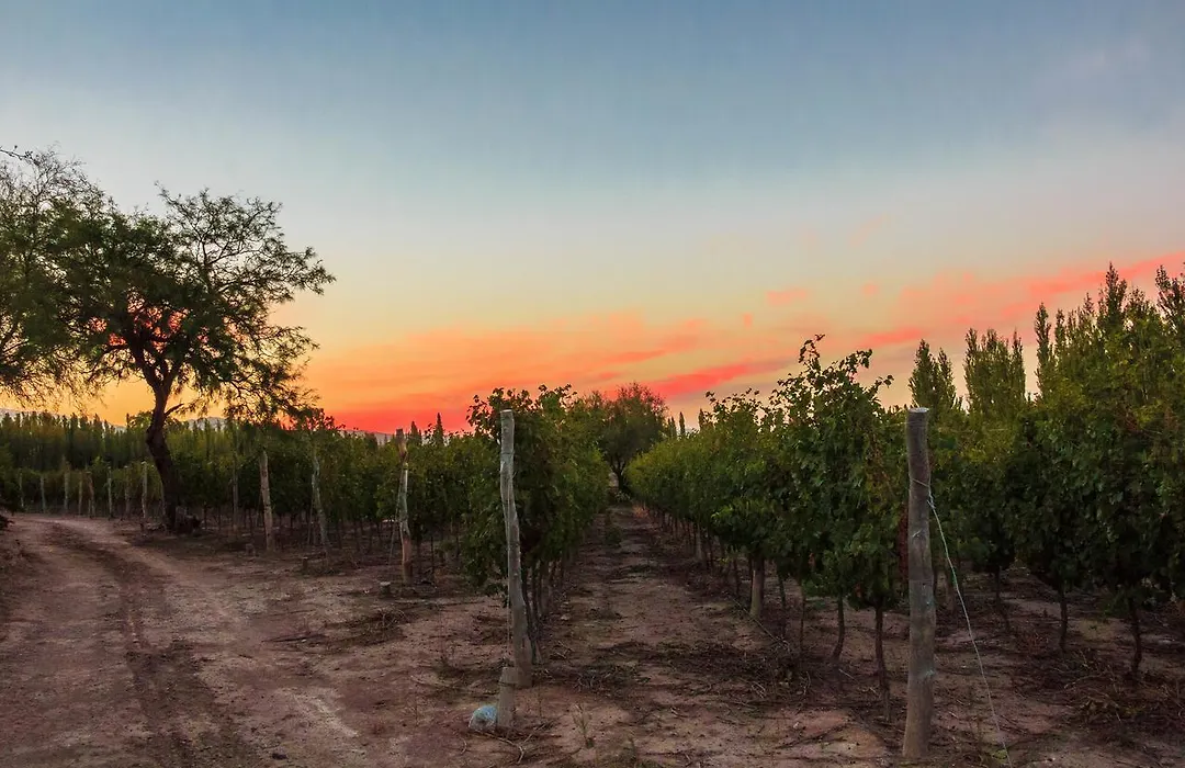 Marale Wines Hotel Boutique-1