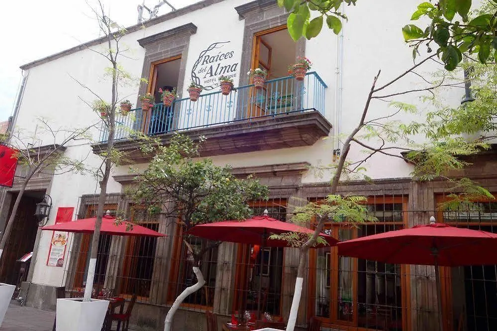 Raices Del Alma Hotel Boutique-1