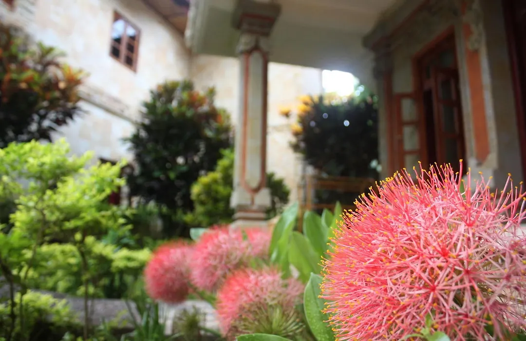 Rambutan Boutique Hotel-1