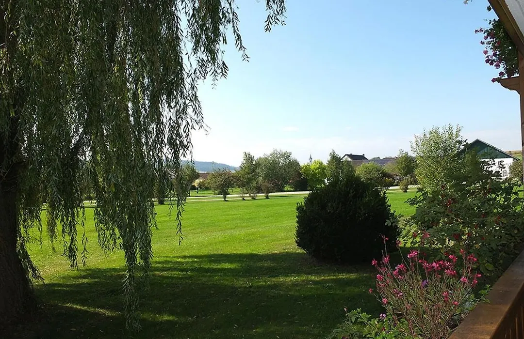 Boutique-Hotel Hasenberger-1